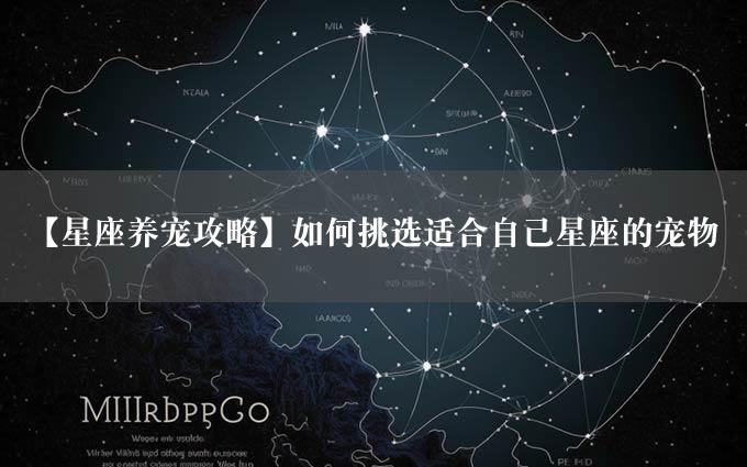 【星座养宠攻略】如何挑选适合自己星座的宠物